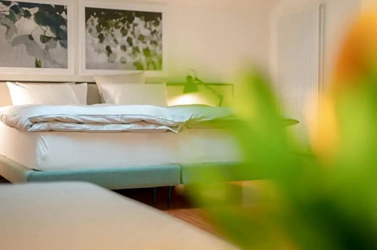 Deluxe Single room