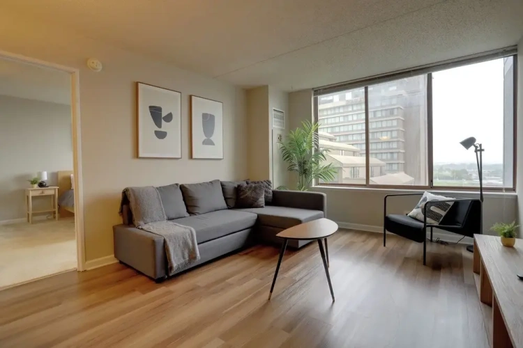1 Bedroom Apartment