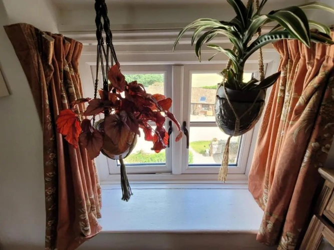 Standard Double room with garden view