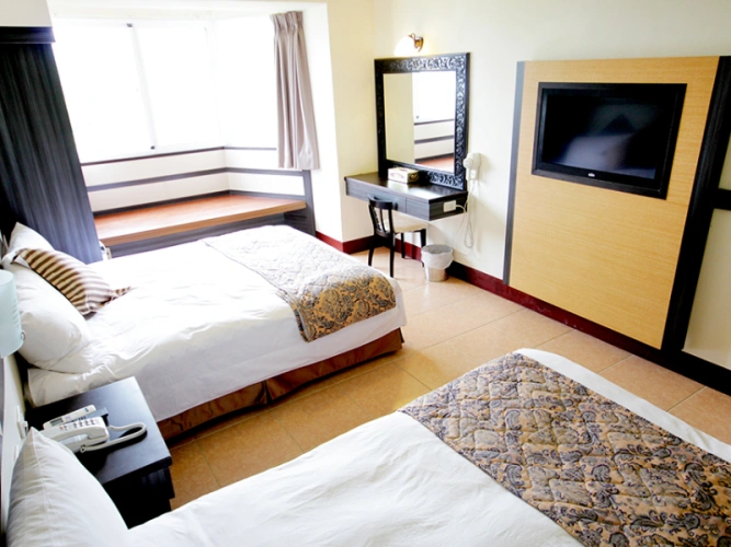 Superior Double room with city view