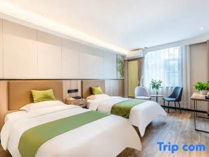 Business Double room with street view