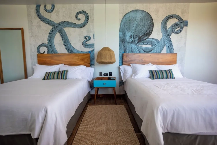 Standard Double room with ocean view