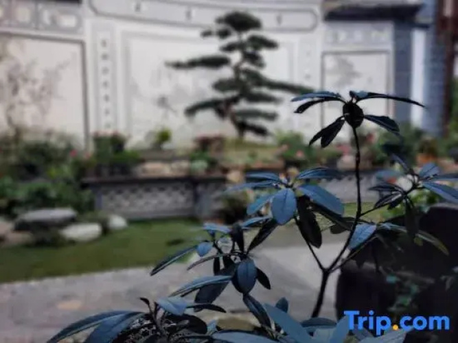 Huilan Garden