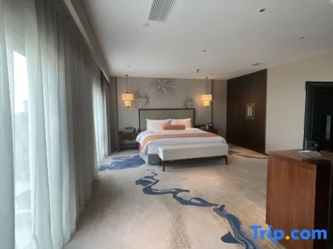 Duplex Suite