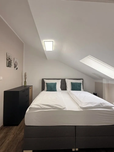 Single Suite