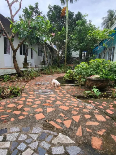 Davi hostel