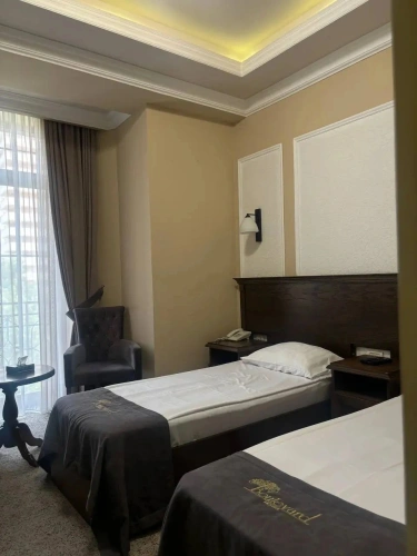 Superior Twin room with garden view