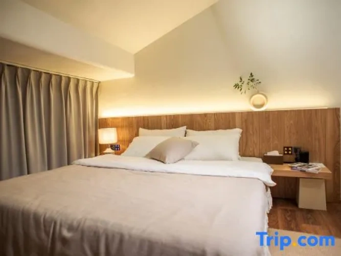 Standard Double room with balcony and with mountain view