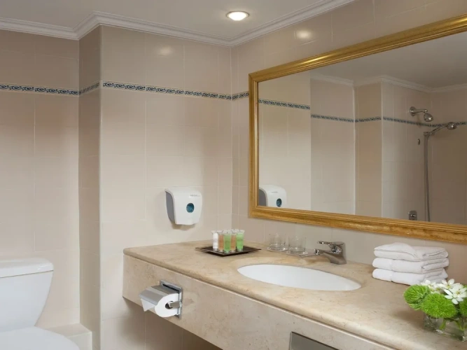 Deluxe Twin room with pool view