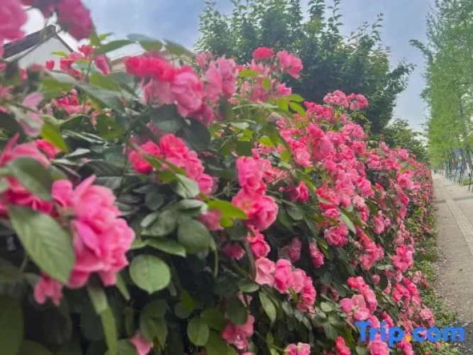 Outside