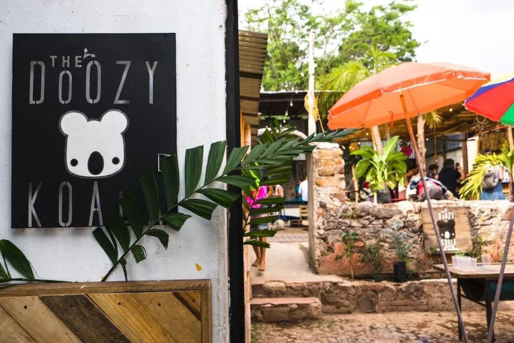 The Doozy Koala Hostel