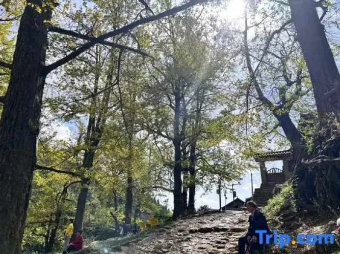 Panzhou Qise Homestay