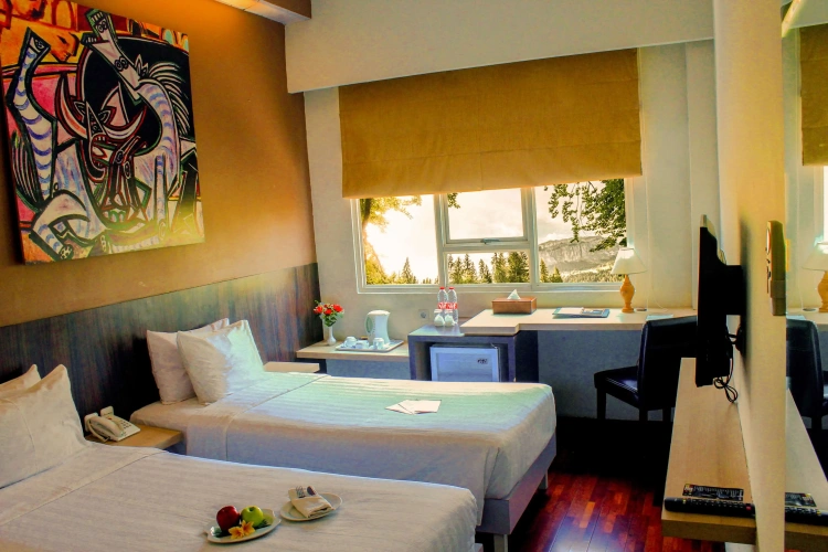 Deluxe Twin room