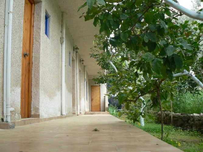 Economy Studio