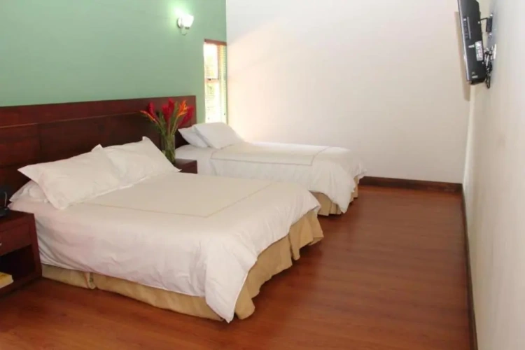 Standard Double room with view