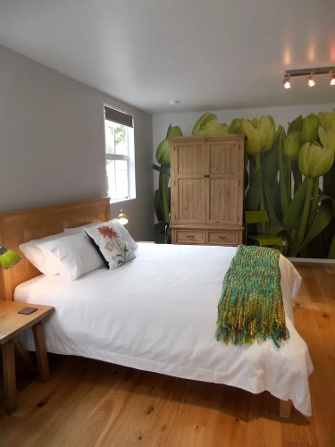 Premium Double Apartment