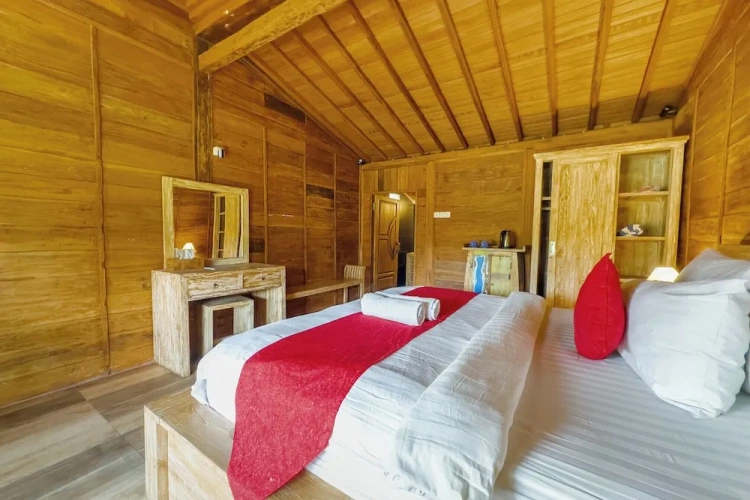 Standard Double room with lake view
