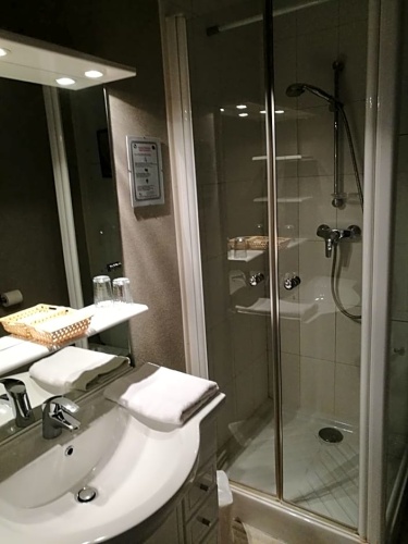 Standard Double room with garden view