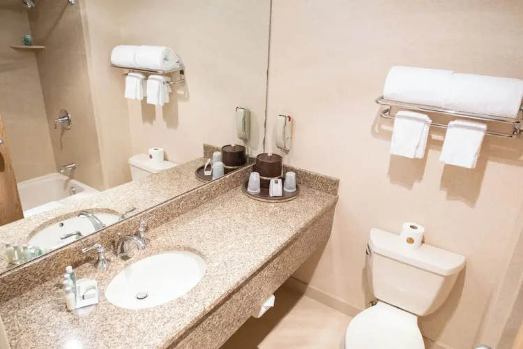 Ann Arbor Regent Hotel & Suites
