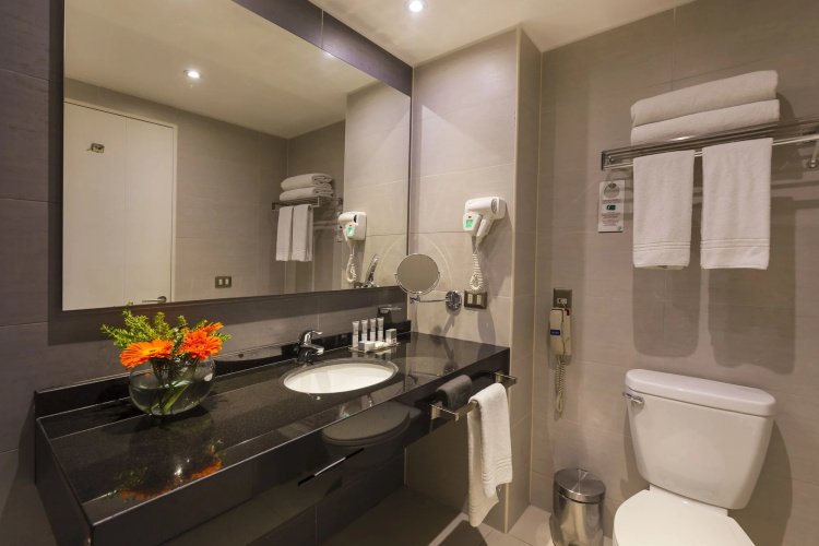 Best Western Premier Marina Las Condes photo 11