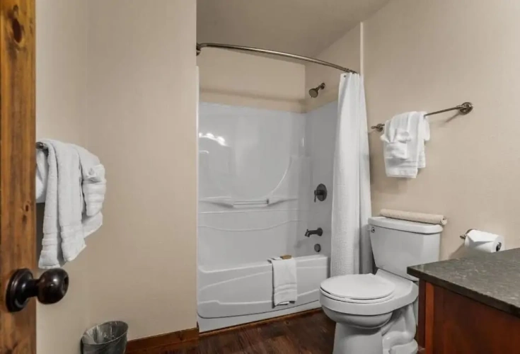 Standard room with balcony and with river view