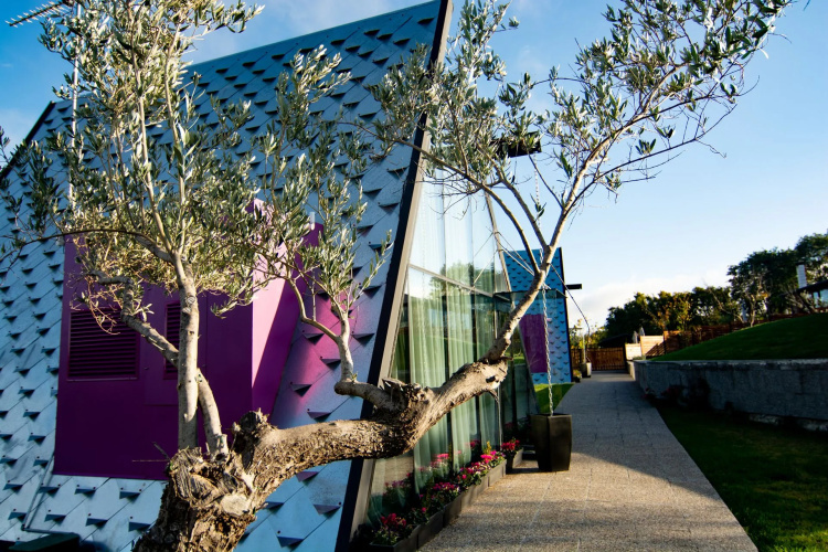 3 Hills Boutique Hotel