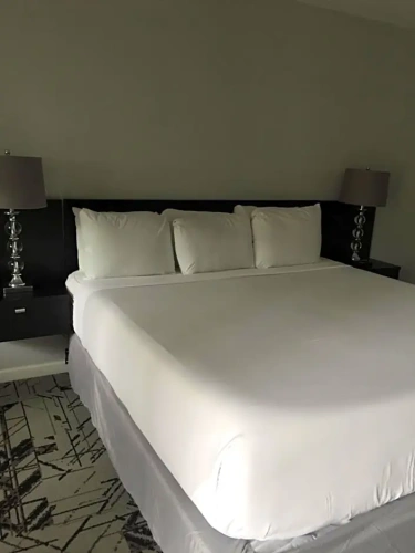 Deluxe Double Suite