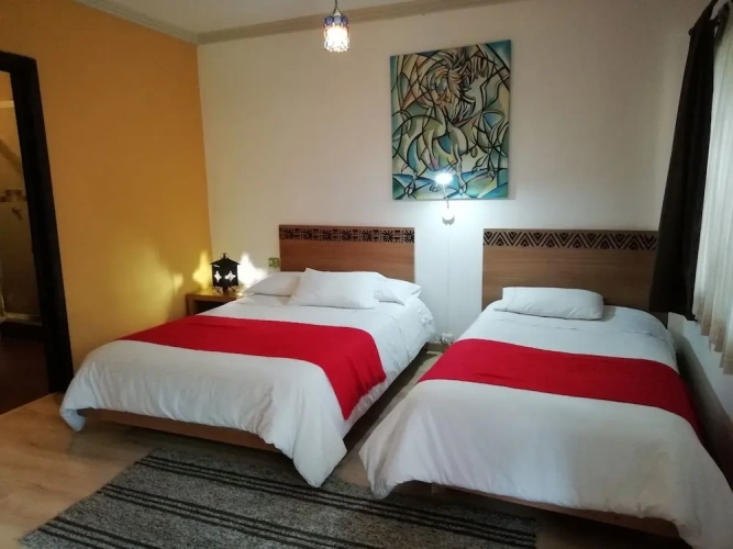 Standard Double room with garden view
