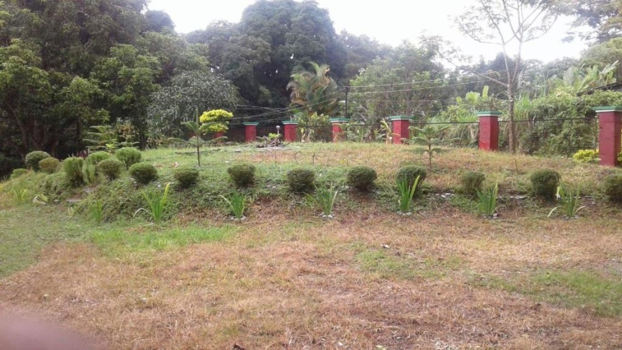 Outside