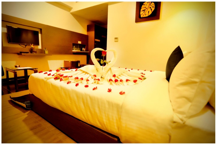 Comfort Single room