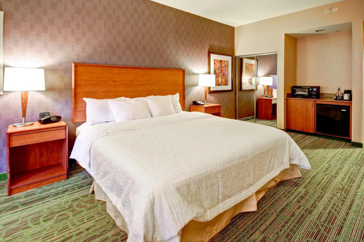 Hampton Inn & Suites Denver-Downtown