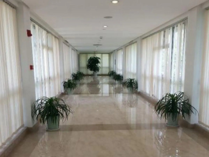 Cyts Greentree Eastern International Hotel