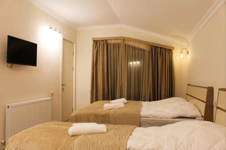 Mountain Villa Didveli