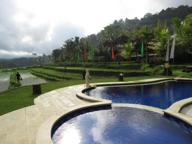 Standard Double room with garden view