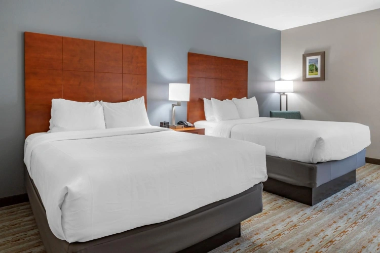 Guest rooms