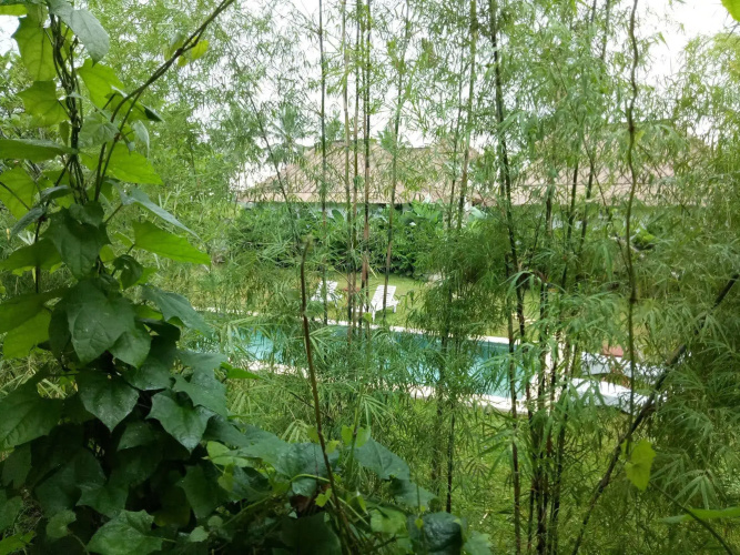 Kanomayasa Ubud Villa