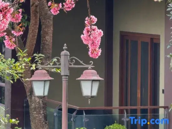Tianyi Tea Homestay