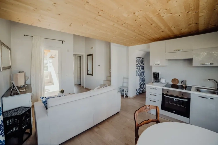 Deluxe Twin Apartment