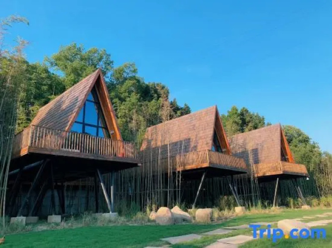 Tree Frog Resort Hotel
