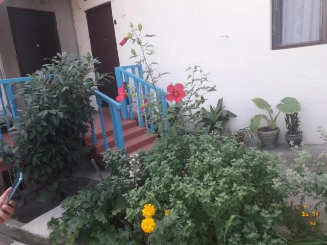 Duplex Studio