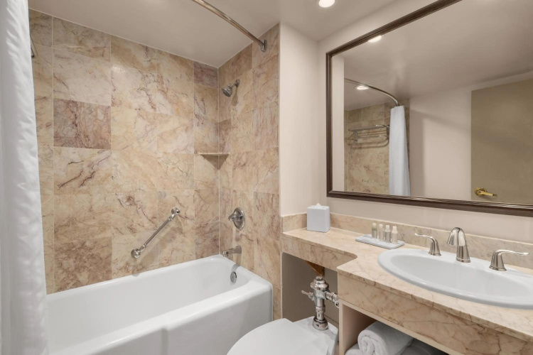Dauphine Orleans Hotel photo 9