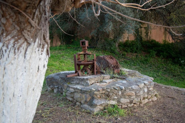 Neriana Villa - Garden Paradise