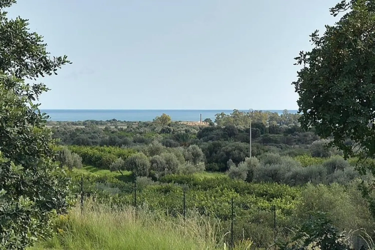 Superior Villa