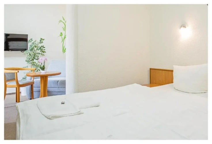 Standard Double room