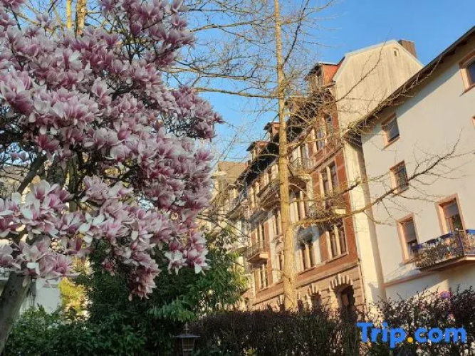 Work & Travel Worker's Apartment#2
