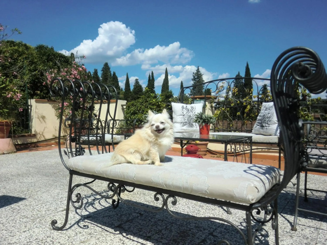 Argentiere B&B