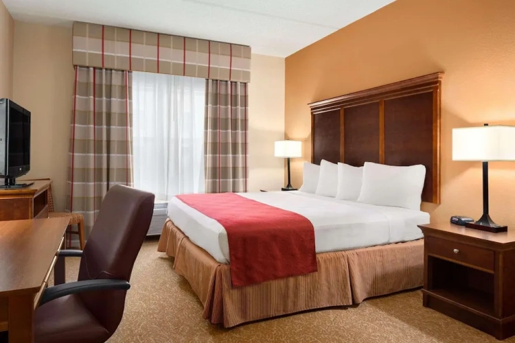 1 Bedroom Suite