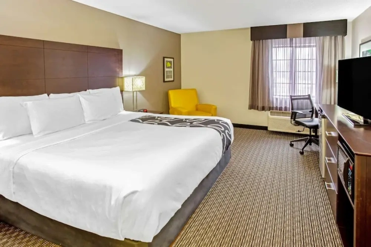 1 Bedroom Suite