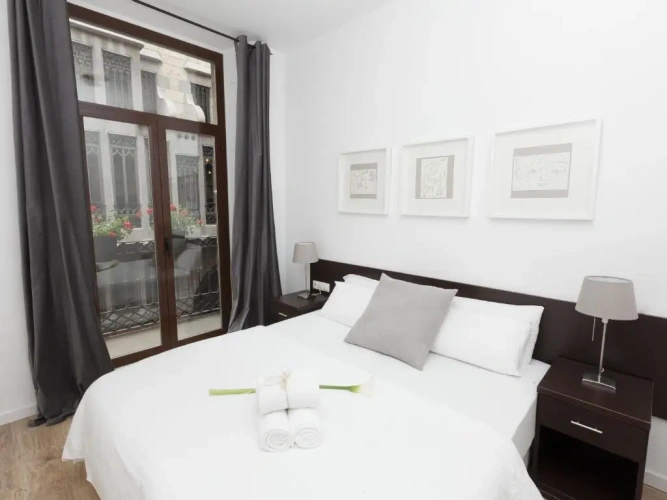 1 Bedroom Apartment