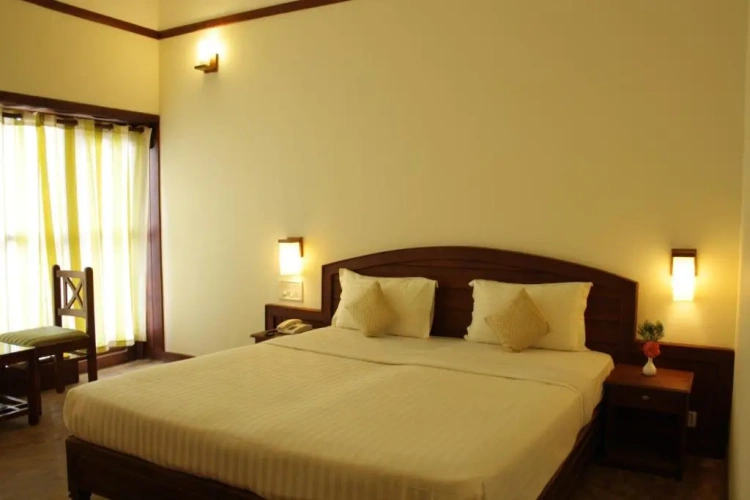 Standard Double room with balcony and with view